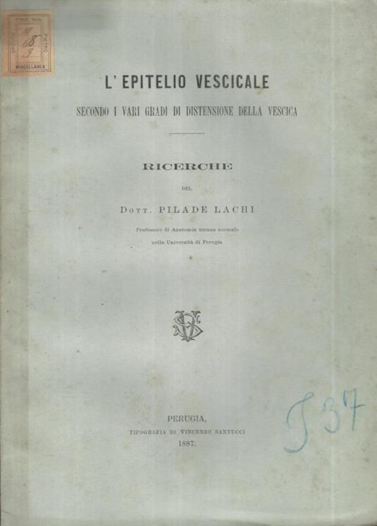 L' epitelio vescicale secondo i vari gradi di distensione della vescica. Ricerche - copertina