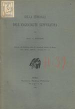 Sulla etiologia dell'angiocolite suppurativa