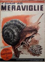 Il Giornale delle Meraviglie. Settimanale di divulgazione - N. 90, 15 dicembre 1938, Anno II - In questo numero: Vincere lo spazio - Il paese degli uomini ambiziosi - La forza del vento