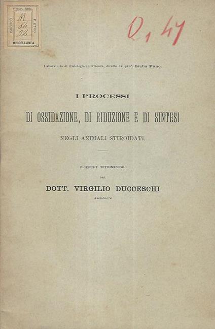I processi di ossidazione, di riduzione e di sintesi negli animali stiroidati - Virgilio Duccheschi - copertina