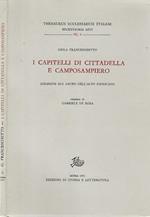 I capitelli di Cittadella e Camposampiero. Indagine sul sacro nell'alto Padovano