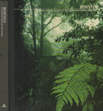 Borneo - John Mackinnon - copertina