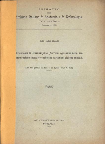 Il testicolo di Rhinolophus ferrum equinum nella sua maturazione sessuale e nelle sue variazioni cicliche annuali - Luigi Vignoli - copertina
