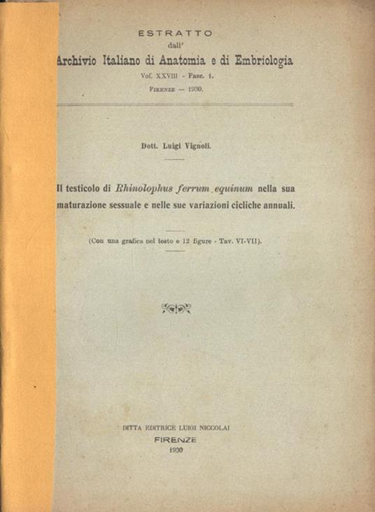 Il testicolo di Rhinolophus ferrum equinum nella sua maturazione sessuale e nelle sue variazioni cicliche annuali - Luigi Vignoli - copertina