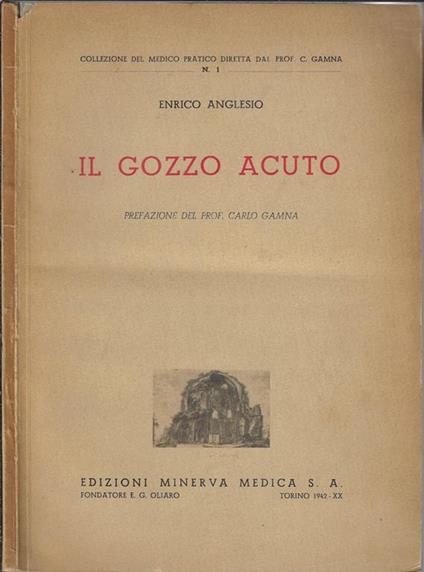 Il gozzo acuto - Enrico Anglesio - copertina