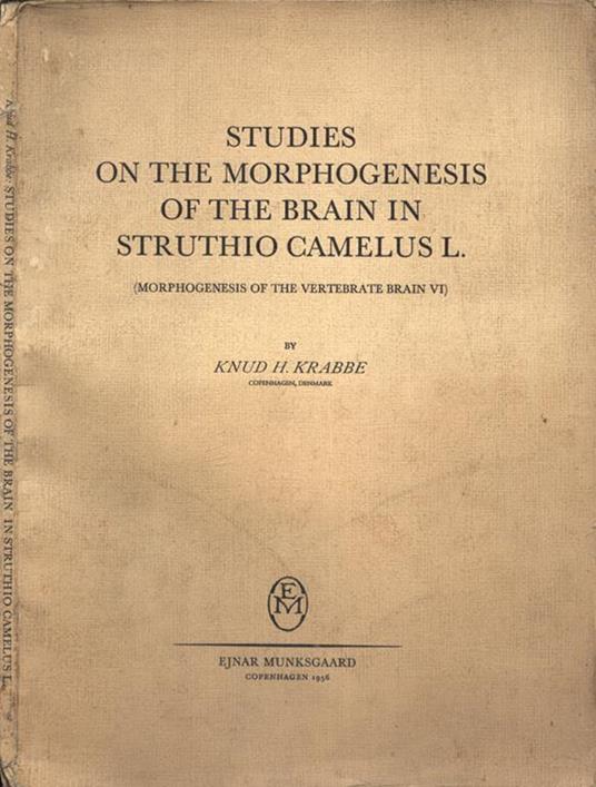Studies on the morphogenesis of the brain in Struthio Camelus L.. ( Morphogenesis of the vertebrate brain VI ) - copertina