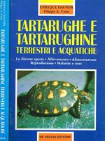 Tartarughe e tartarughine terrestri e acquatiche