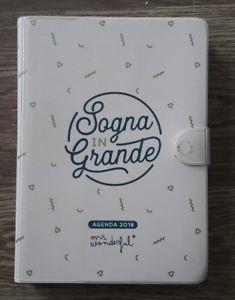 Mr. Wonderful Agenda 2018- 2019 Piccola Giornaliera Sogna In Grande Mr. Wonde - copertina