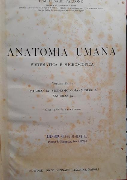 Anatomia umana sistematica e microscopica. Volume 1 - Cesare Falcone - copertina