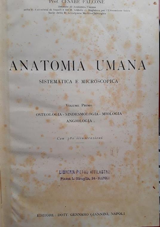 Anatomia umana sistematica e microscopica. Volume 1 - Cesare Falcone - copertina