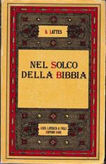 Nel solco della Bibbia