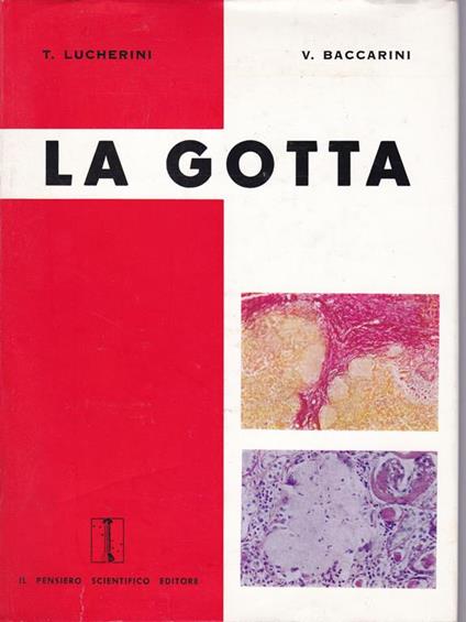 gotta - Tommaso Lucherini - copertina