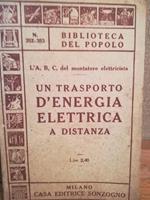 Un trasporto d'energi elettrica a distanza