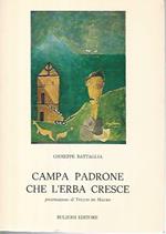 Campa padrone che l'erba cresce