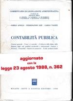 Contabilità pubblica. Nozioni generali, i beni e i contratti, il bilancio dello Stato, delle regioni, degli enti pubblici territoriali e istituzionali: comuni e...