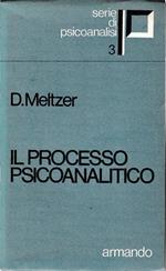 Il processo psicoanalitico