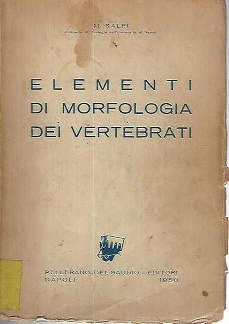 Elementi di morfologia dei vertebrati - Monica Salfi - copertina