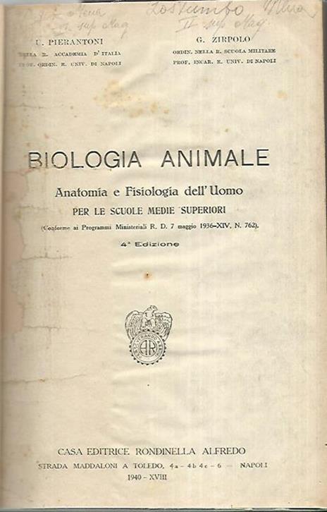 Biologia animale. Anatomia e fisiologia dell'uomo per le scuole medie superiori - Umberto Pierantoni - copertina