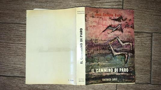 Il cammino di Paro - copertina