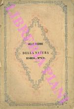 Delle vicende dè tronchi inferiori del Po in relazione alla natura di questo fiume e dell'urgenza di radicali provvedimenti alla loro sistemazione. Conferenza pubblica tenuta nella maggior sala del Municipio di Adria il giorno 3 febbraio 1873