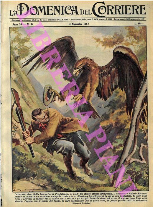 Un cacciatore catturava un'aquila reale nella boscaglia di Pradalunga (BG) e la portava, viva, in paese - Walter Molino - copertina