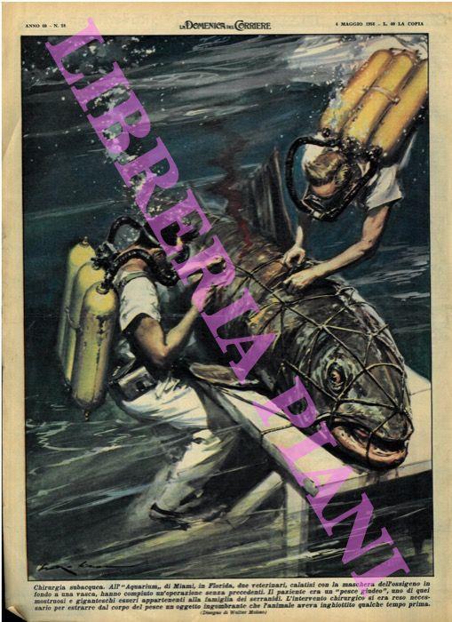 Chirurgia subacquea. Due veterinari, calatisi con la maschera dell'ossigeno in fondo a una vasca, hanno operato un "pesce giudeo" - Walter Molino - copertina