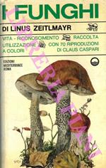 I funghi. Vita - Riconoscimento - Raccolta - Utilizzazione