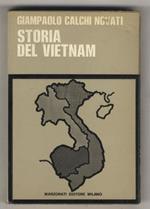 Storia del Vietnam e della regione indocinese