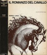 Il romanzo del cavallo