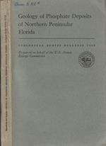 Geology of phosphate deposits of northern peninsular Florida