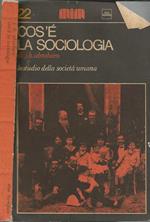 Cos'è la sociologia