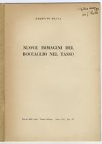 Nuove immagini del Boccaccio nel Tasso