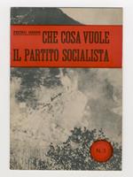 Che cosa vuole il Partito Socialista