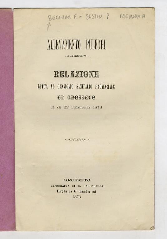 Allevamento puledri. Relazione letta al Consiglio Sanitario provinciale di Grosseto il dì 22 febbraio 1873 - copertina