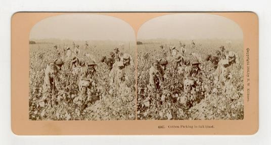 Cotton picking in full blast - copertina