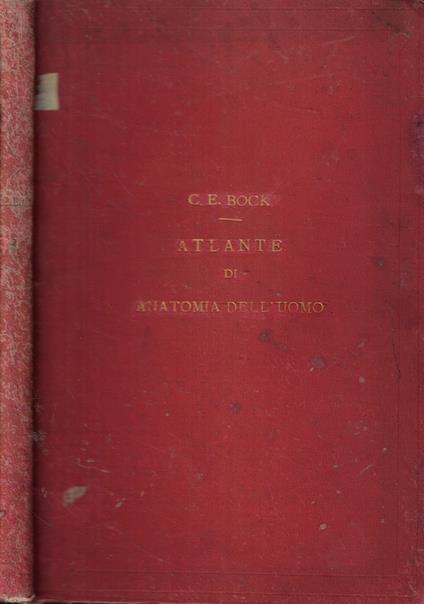 Atlante di anatomia dell'uomo - copertina