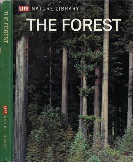 The Forest - copertina