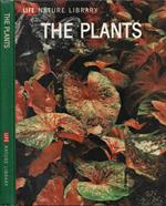 The Plants