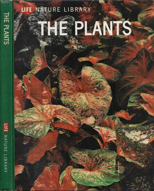 The Plants - copertina