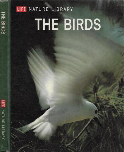 The Birds - copertina