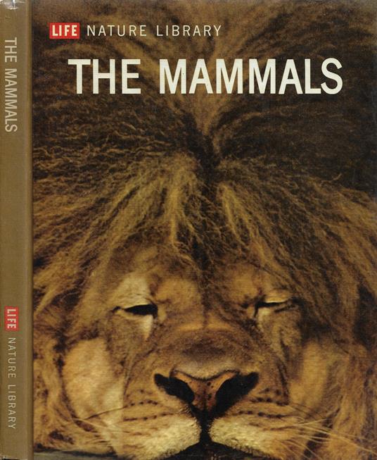 The Mammals - copertina