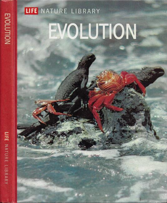 Evolution - Ruth Moore - copertina