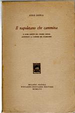 Il Napoletano Che Cammina e Altri Scritti Sul Colore Locale Aggiuntavi La Canzone Del Guarracino