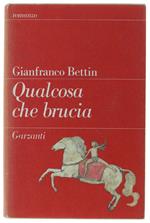QUALCOSA CHE BRUCIA - Bettin Gianfranco - Garzanti - 1989