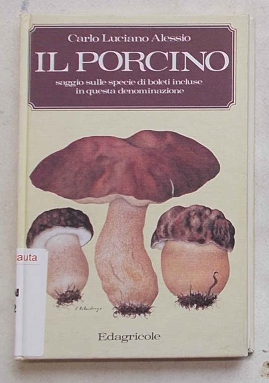 Il porcino. Saggio sulle specie di boleti incluse in questa denominazione - copertina