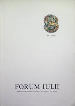 Forum Iulii: annuario del Museo Nazionale di Cividale del Friuli: A. XV (1991)