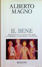 Il bene