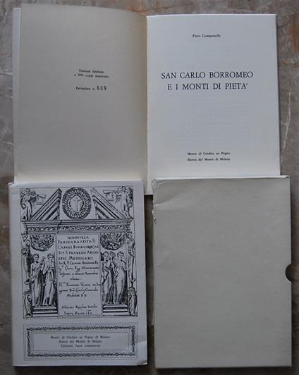 San Carlo Borromeo E I Monti Di Pietà - copertina