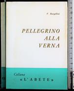 Pellegrino alla verna