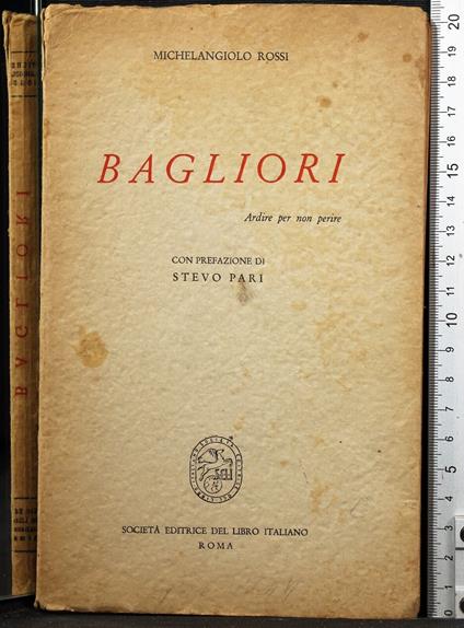 Bagliori - Michelangelo Rossi - copertina